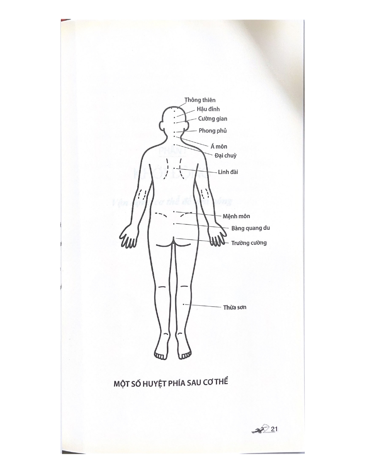 Khí Công Dưỡng Sinh (Tái Bản 2020)