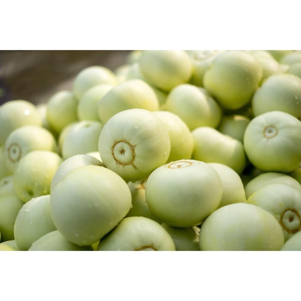 Hạt giống dưa lê F1 siêu ngọt Tân Ngân Huy  – 5gam