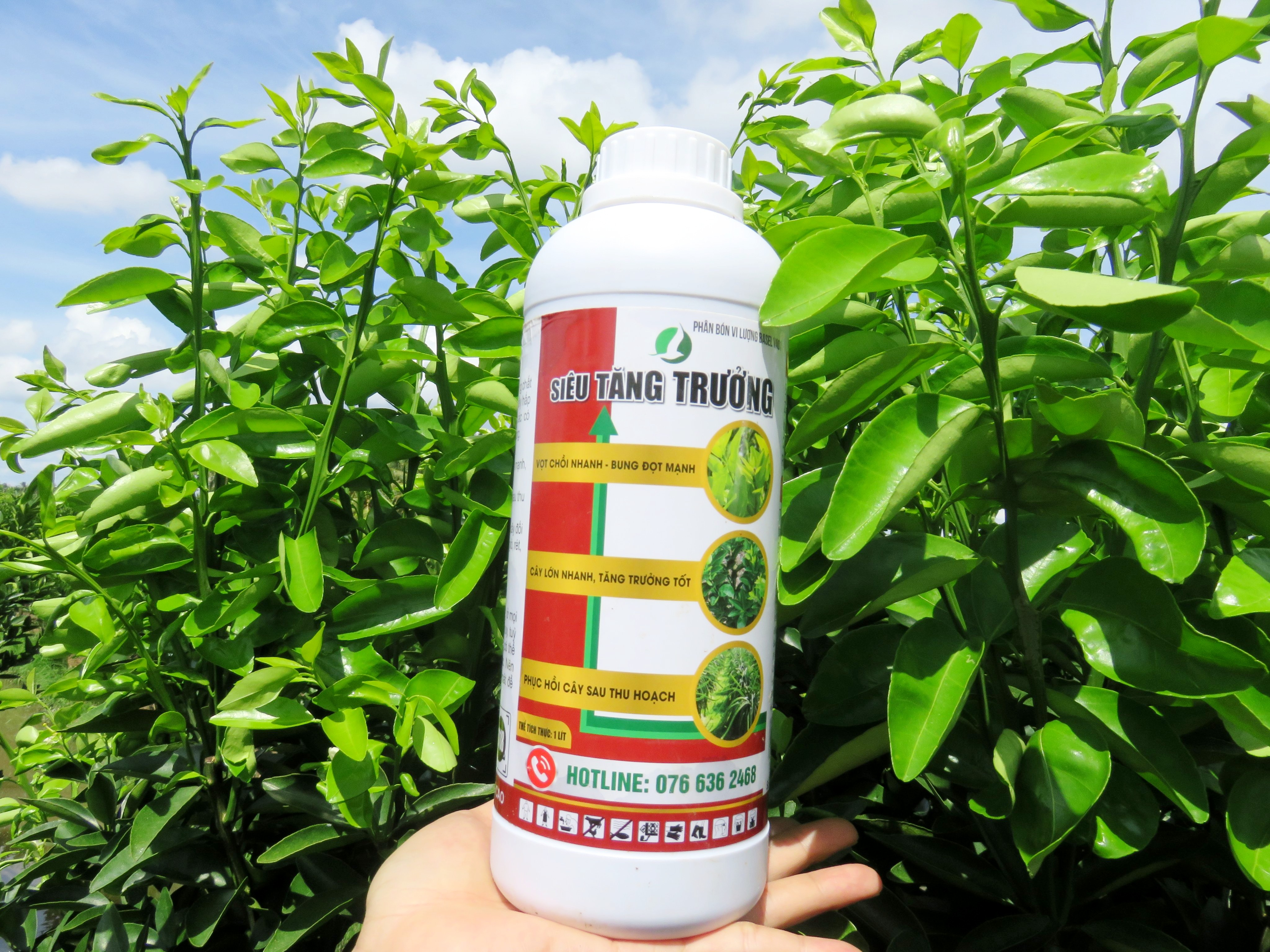 PHÂN BÓN GIÚP CÂY TĂNG TRƯỞNG PHÁT TRIỂN NHANH, CÂY KHỎE, RA NHIỀU CHỒI ĐỌT - SIÊU TĂNG TRƯỞNG 1L