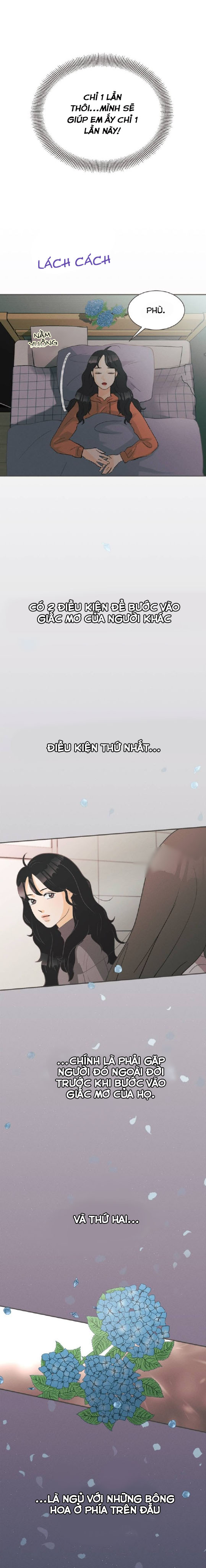 giấc mộng đêm hè chapter 1 50