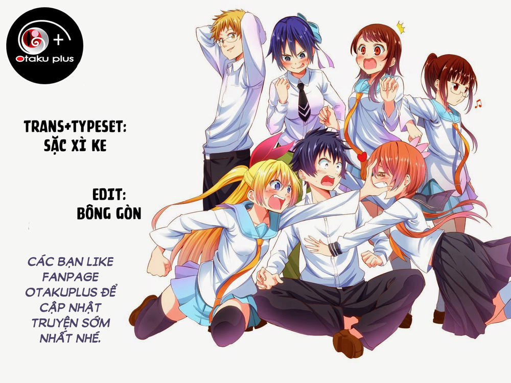 nisekoi - tình yêu giả tạo chapter 195 1
