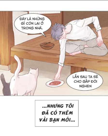 tình yêu như một giấc mộng hè chapter 2 34