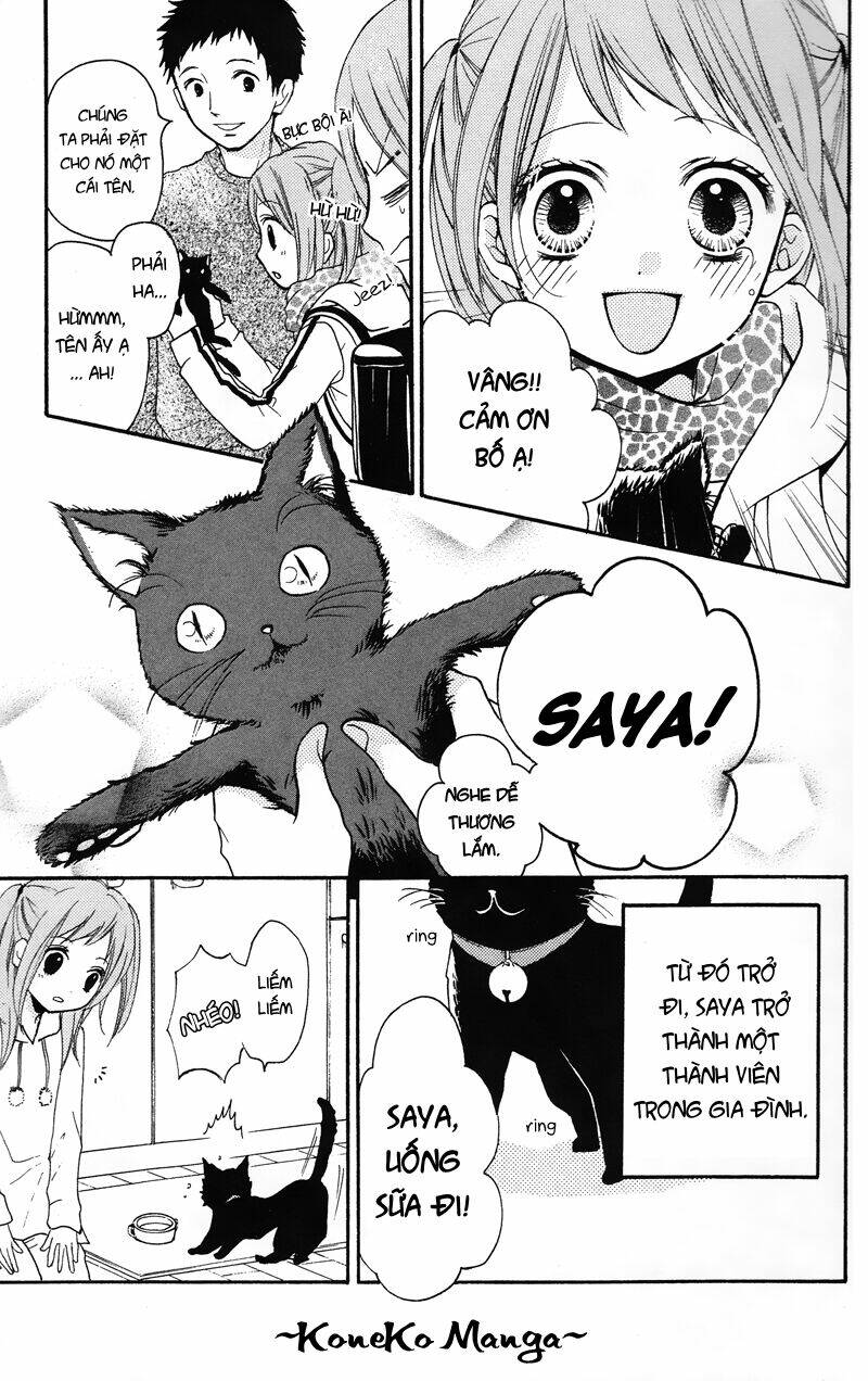 lớp học rùng rợn chapter 16.5 11