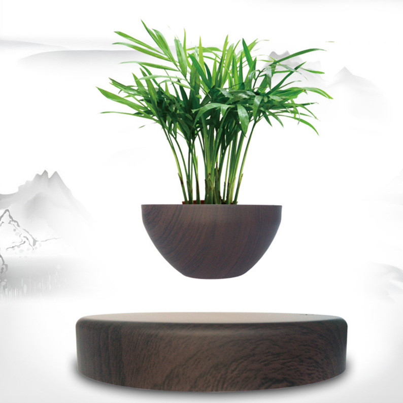 Chậu cây bonsai nam châm lơ lửng trang trí bàn làm việc