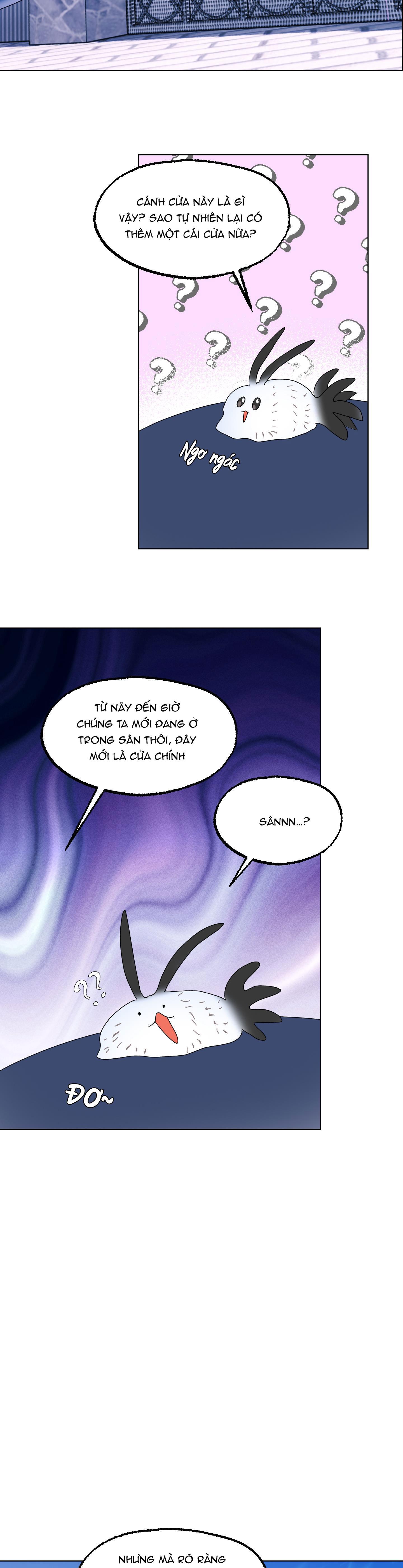 cá mập và cô dâu thỏ chapter 14 24