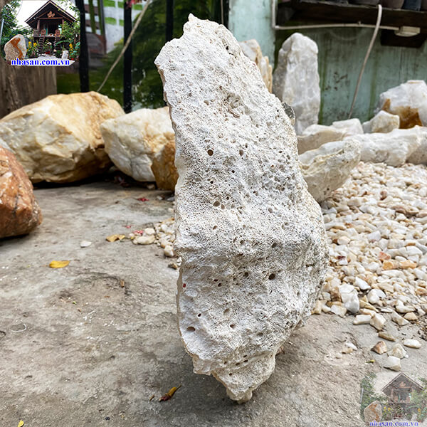 Hóa thạch vỏ sò - Mảnh ghép của quá khứ - 11.5kg - VST13