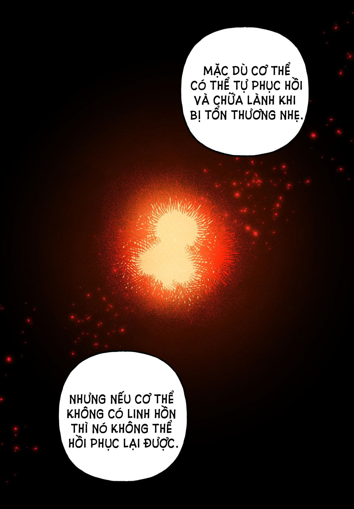 nuôi dưỡng một bé rồng đen chapter 51.2 11