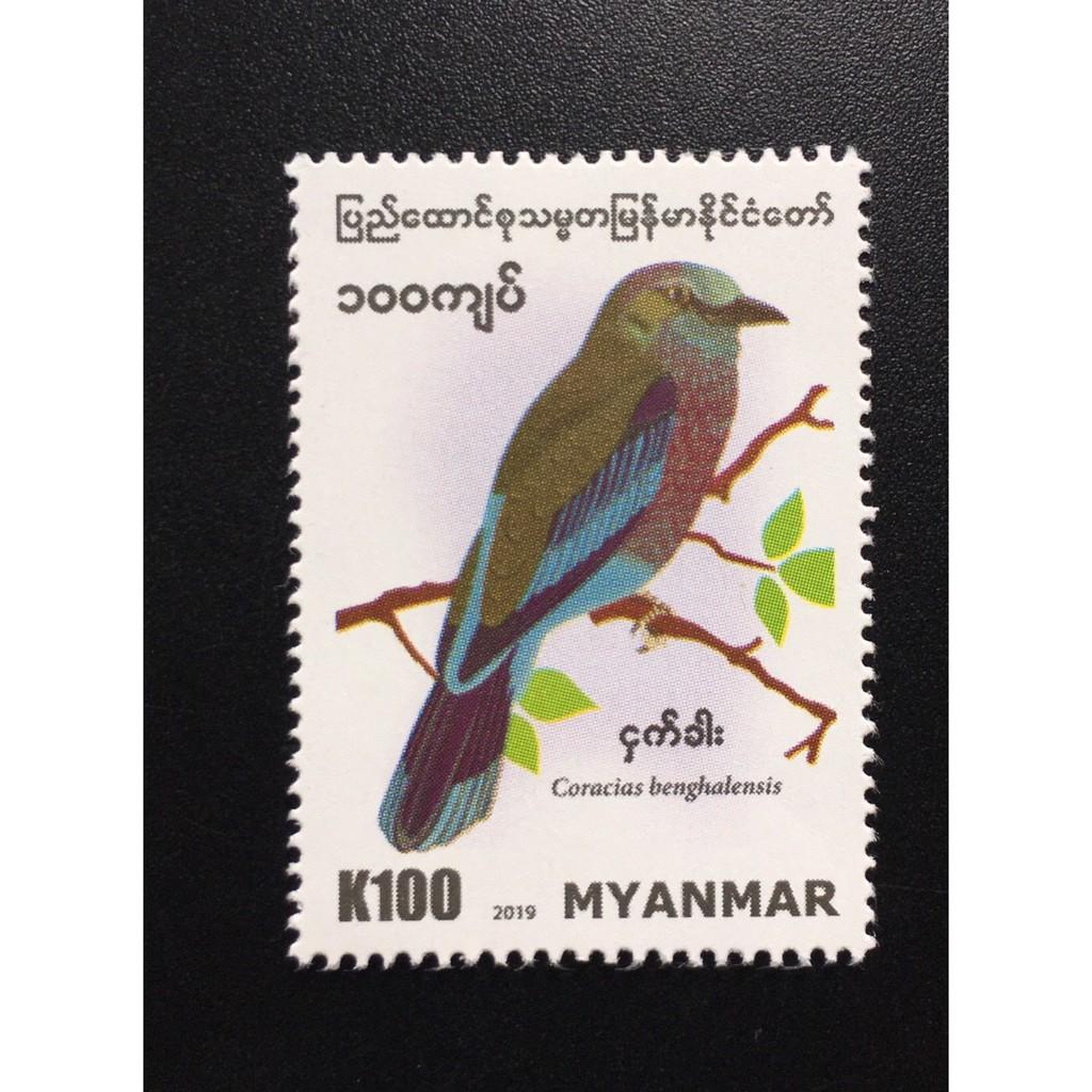 (TemĐẹp) Tem chim Myanmar - 1 con.