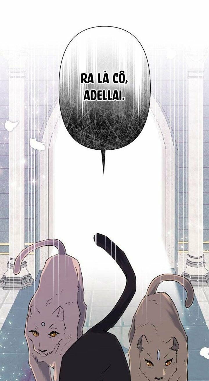 tôi đang nuôi dưỡng một con quái thú chapter 77 65