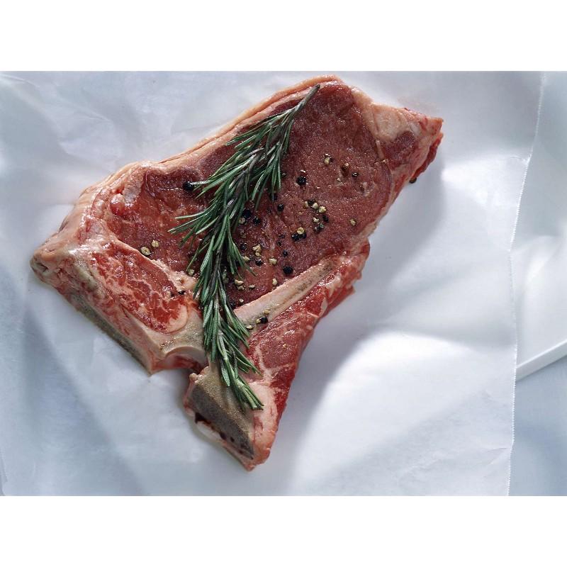 Cây hương thảo - Rosemary size trung - cây gia vị với hương thơm dịu nhẹ, vừa đuổi muỗi lại giúp thoải mãi