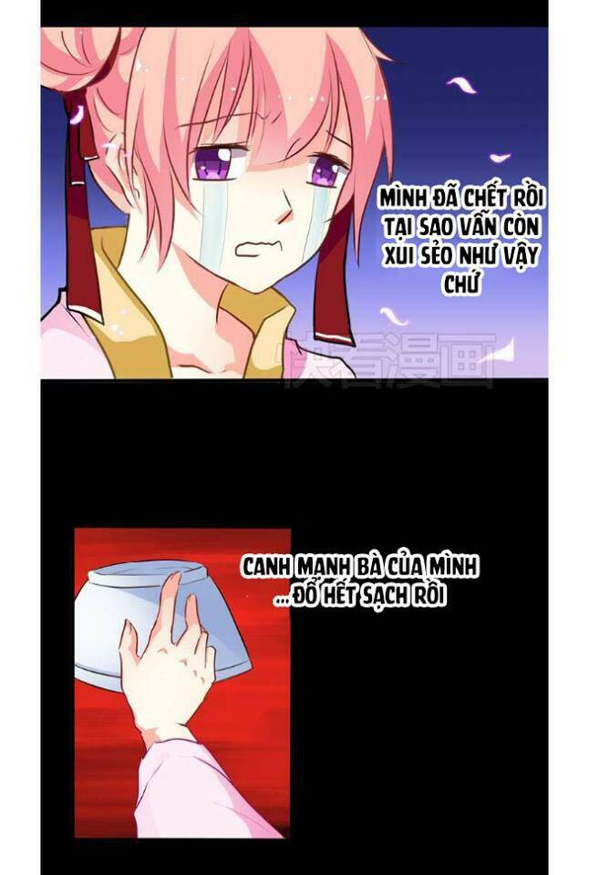 anh bạn! dì cả đến rồi sao?! chapter 1 5