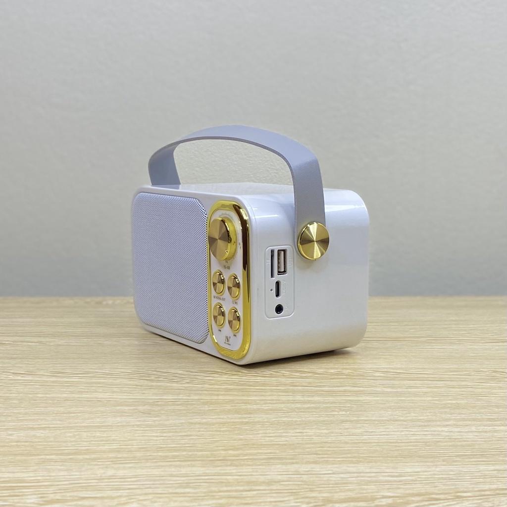 Loa Karaoke Bluetooth YS-103 Kèm 1 Micro Không Dây