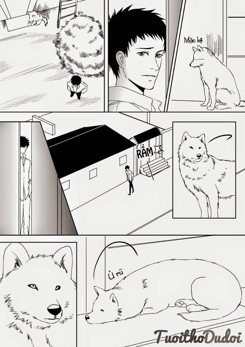 sự mê hoặc của sói chapter 9 11