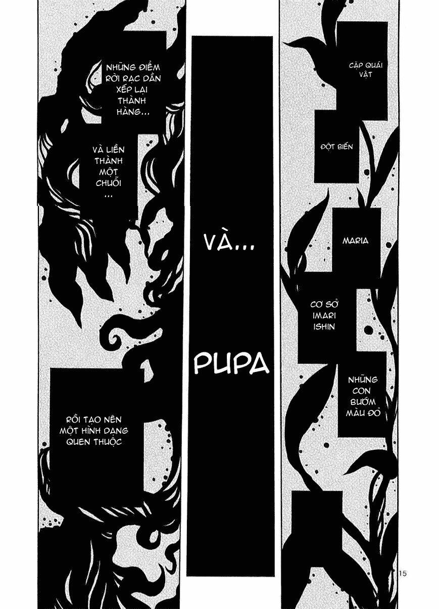 pupa chapter 15 16