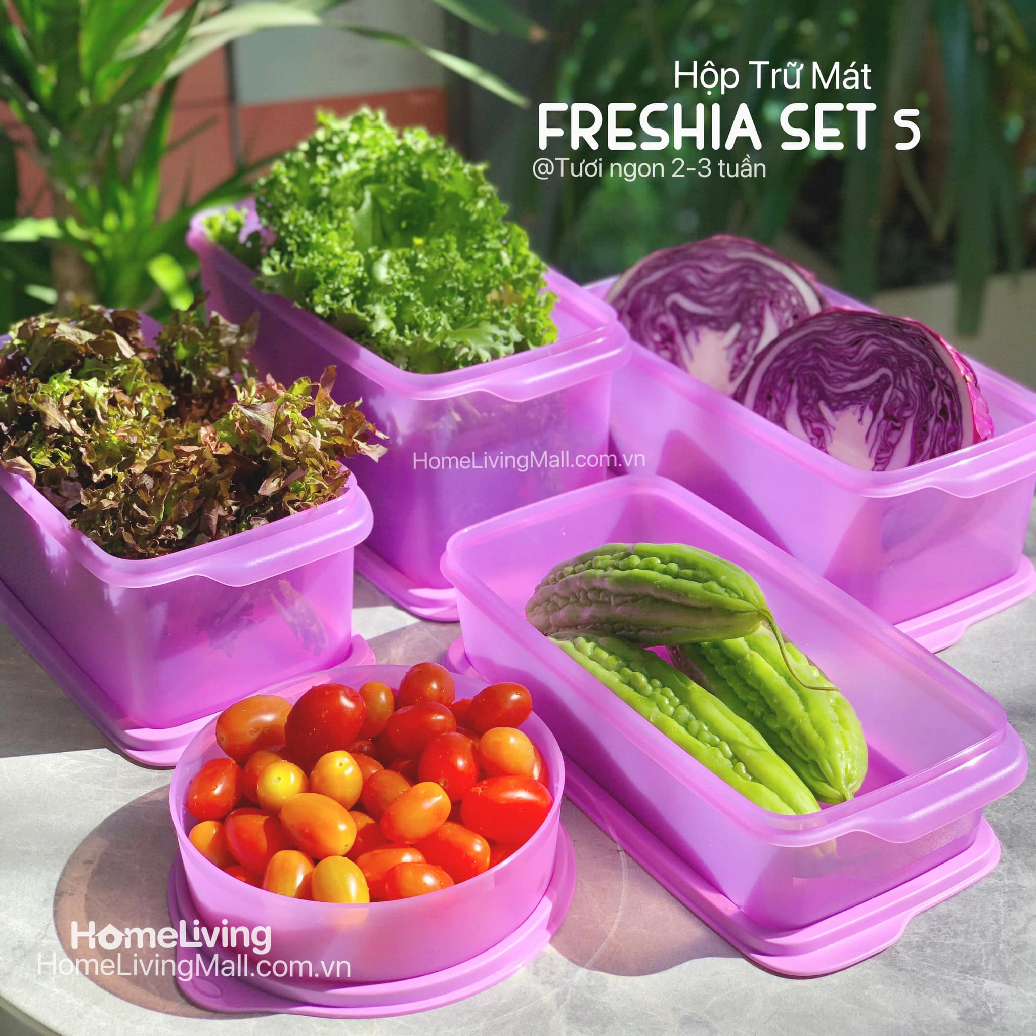 Bộ Trữ Mát &amp; Khô Tupperware Freshia Purple Set 5