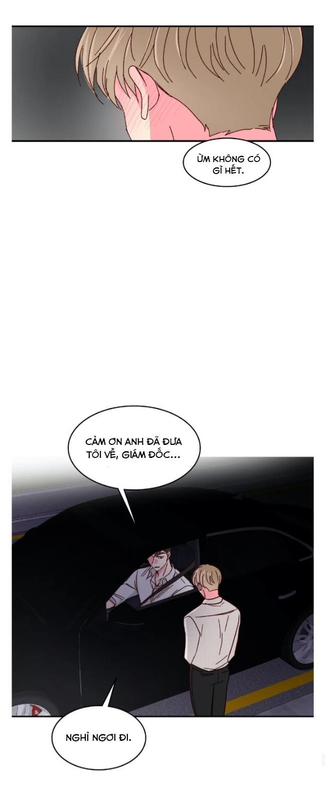 món tráng miệng của sếp tổng chapter 52 32