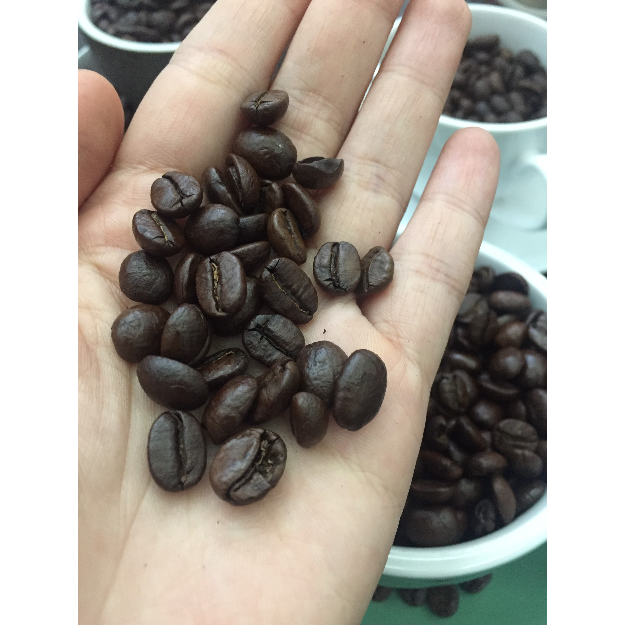 Cà Phê Purebeans - Arabica (500 gram)