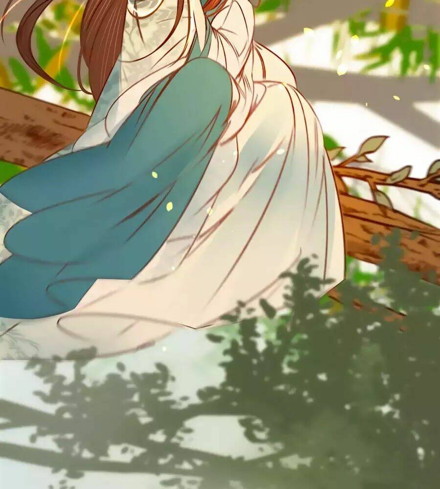 phượng hoàn triều: vương gia yêu nghiệt xin tránh đường chapter 25 62