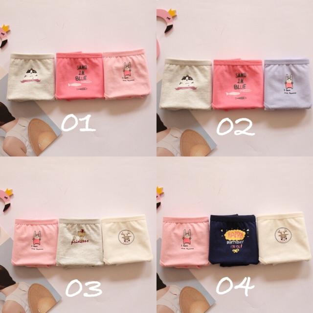 Set 03 quần lót cotton chống tràn nguyệt san