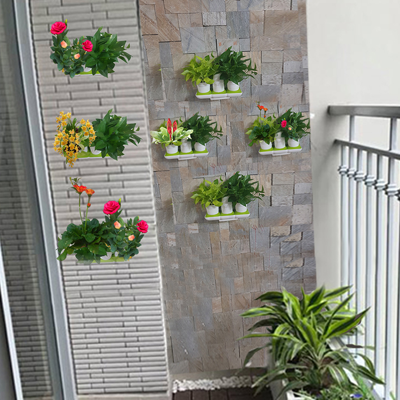 Vòng Phụ Kiện 5 Màu Color Ring Thay Thế Vòng Chậu Kit Trồng Cây Tự Dưỡng nhập khẩu Bồ Đào Nha Basic S và Basic UNO