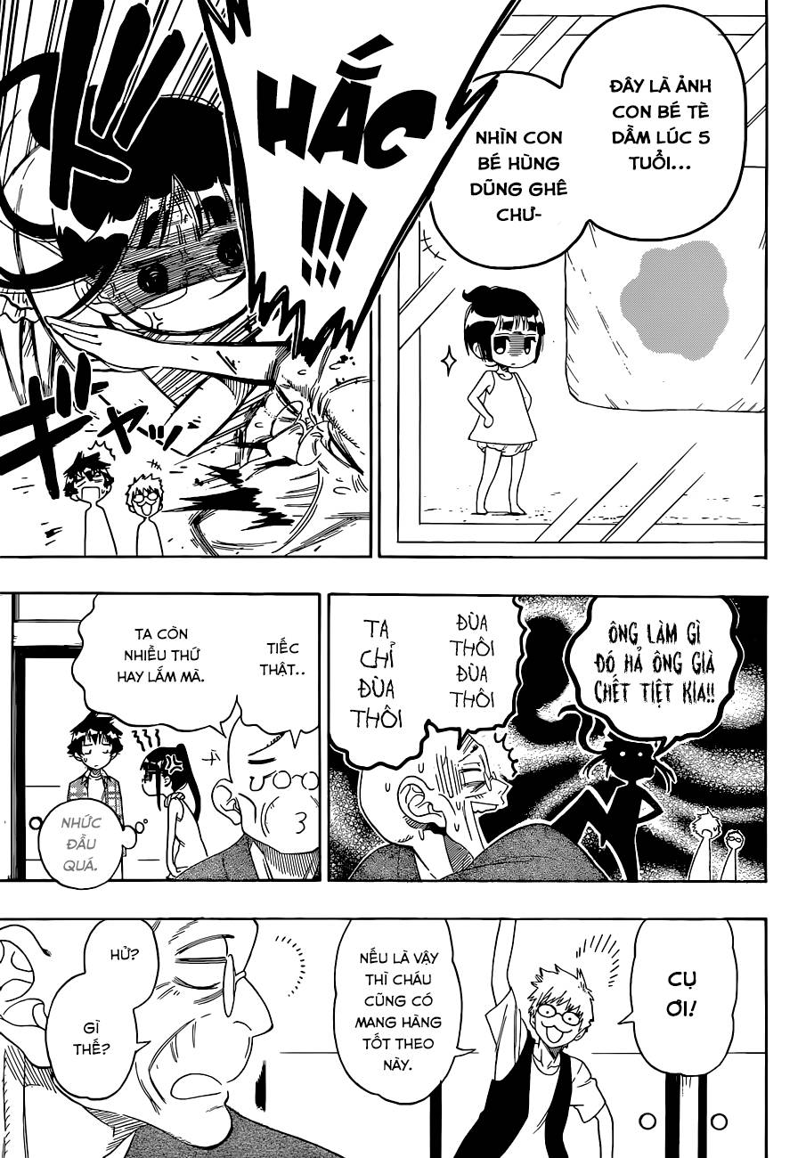 nisekoi - tình yêu giả tạo chapter 113 13