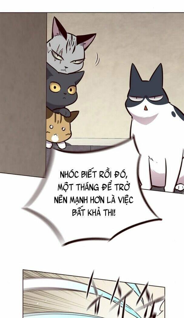 biến thân thành mèo chapter 174 31