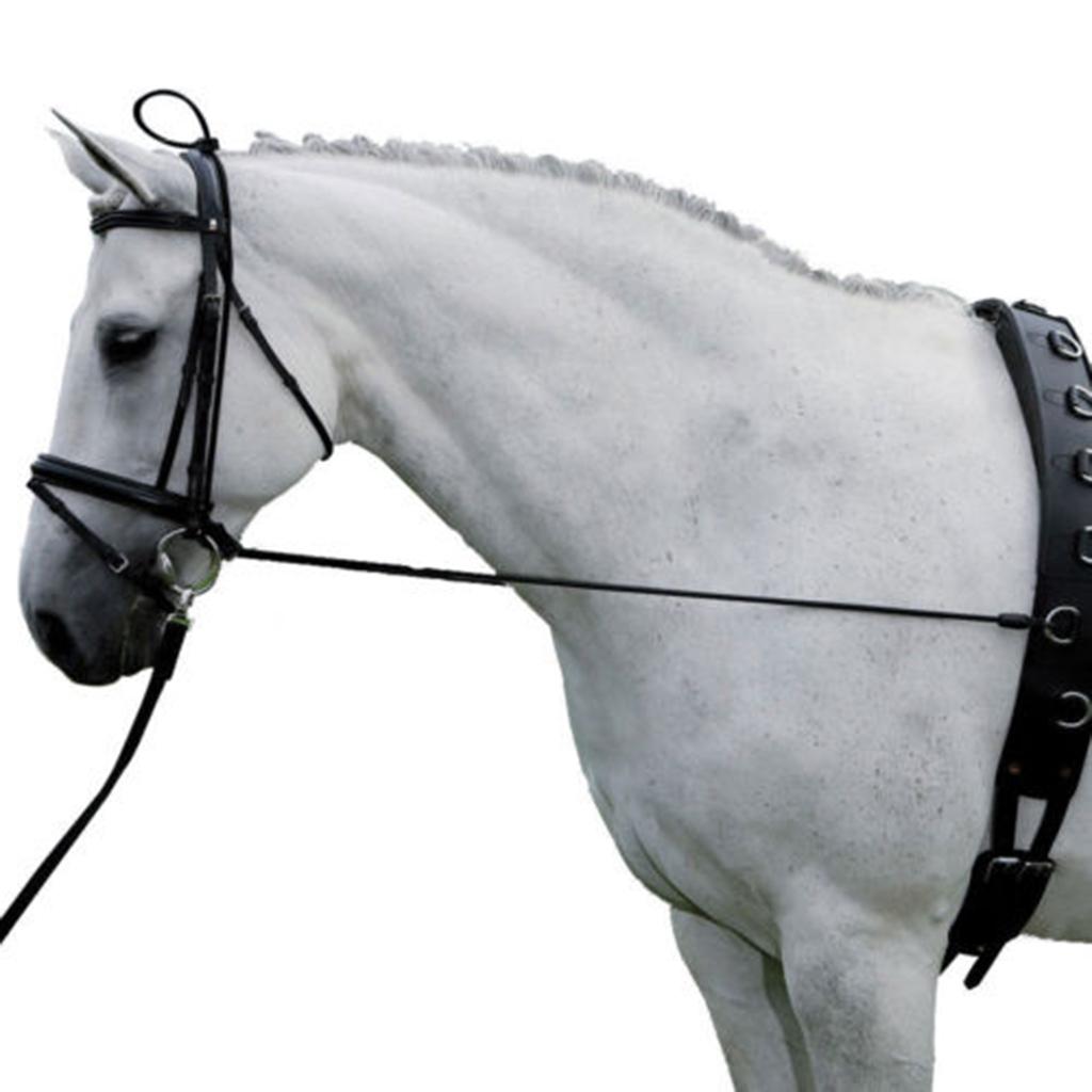 Horse Neck Stretcher Adjustable w/ Plastic Buckles Equestrian Supplies 10ft