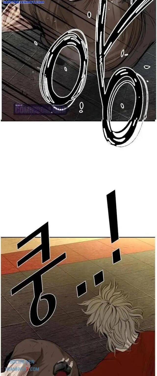 shark - cá mập chapter 128 57