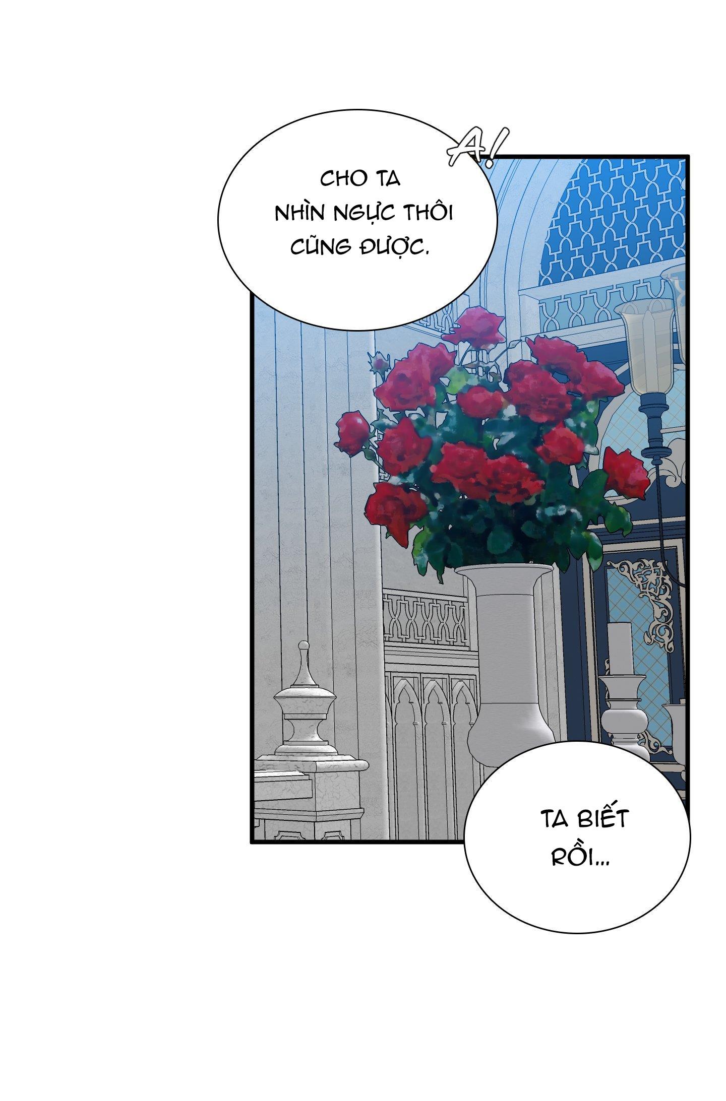 smyrna và capri chapter 43 38