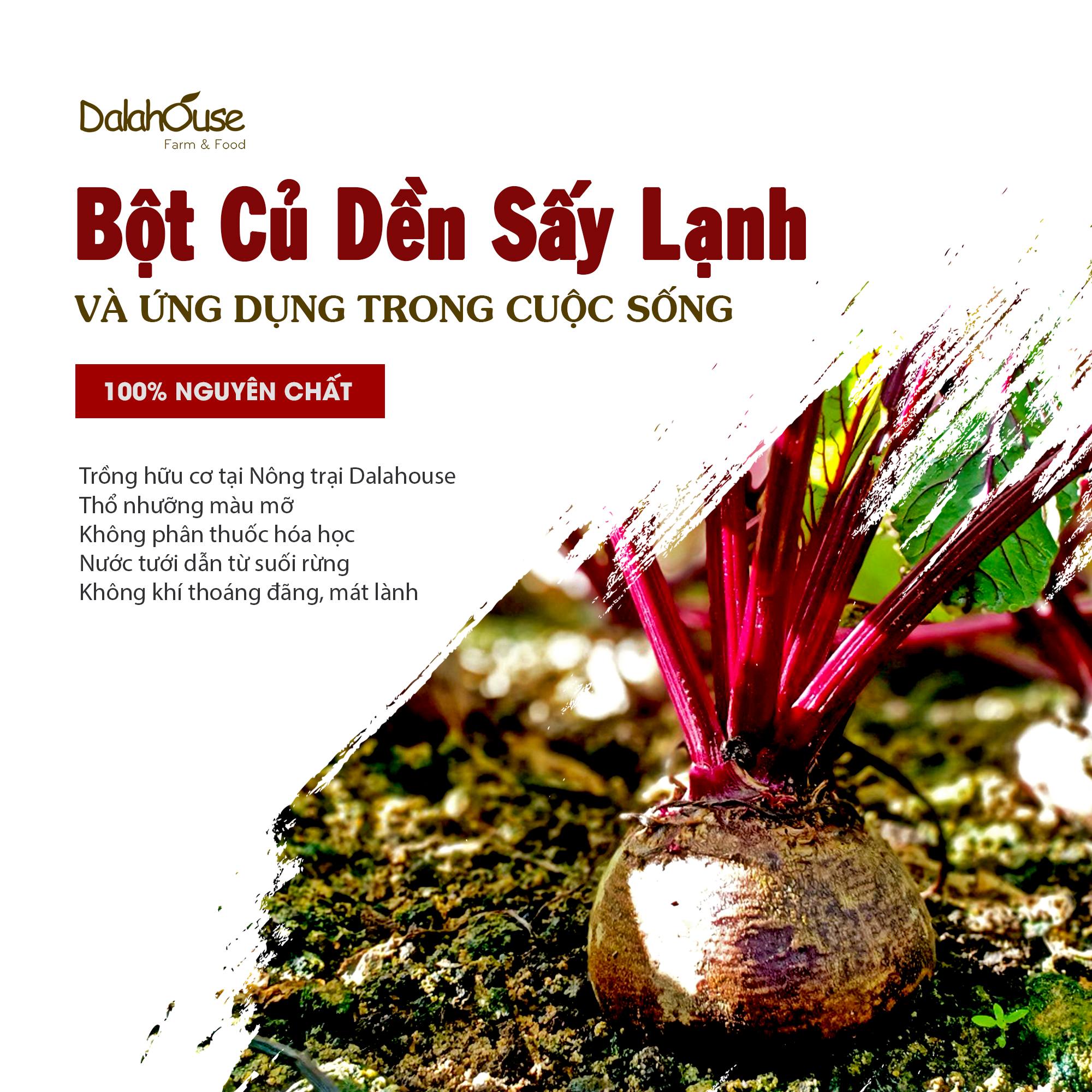 Bột củ dền hữu cơ nguyên chất sấy lạnh Dalahouse - 1 Tuýp 3gr - Thúc đẩy sức khỏe tim mạch, hỗ trợ giải độc gan, tăng cường thể lực