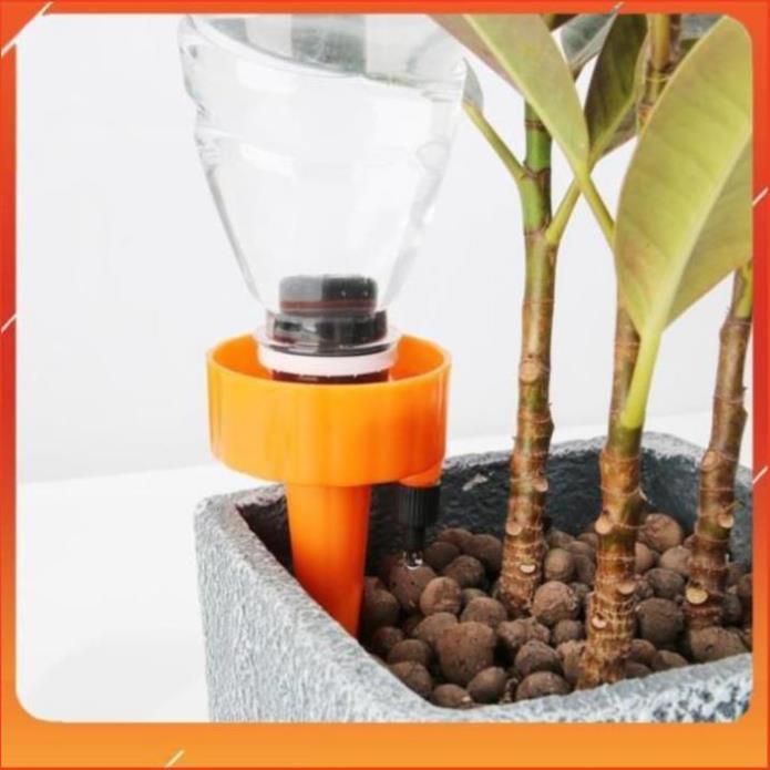 Set 12 que cắm tưới cây nhỏ giọt 206801