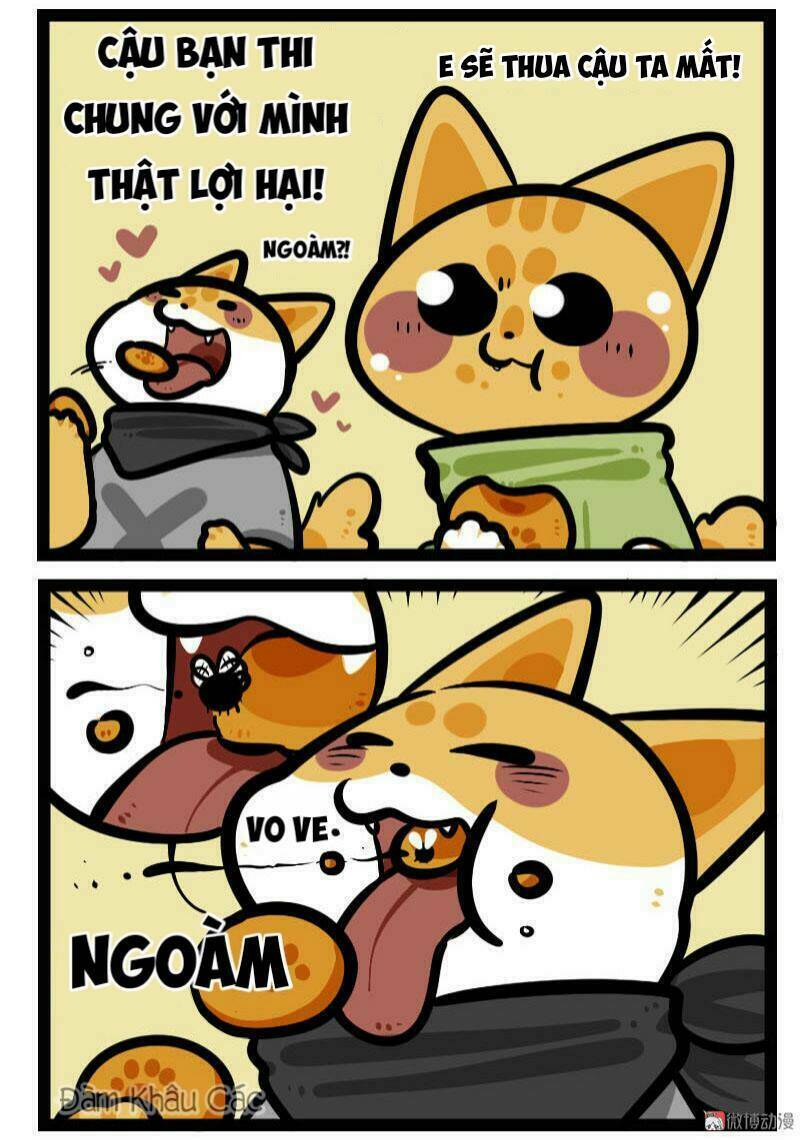 đời không như mình tưởng chapter 63 6