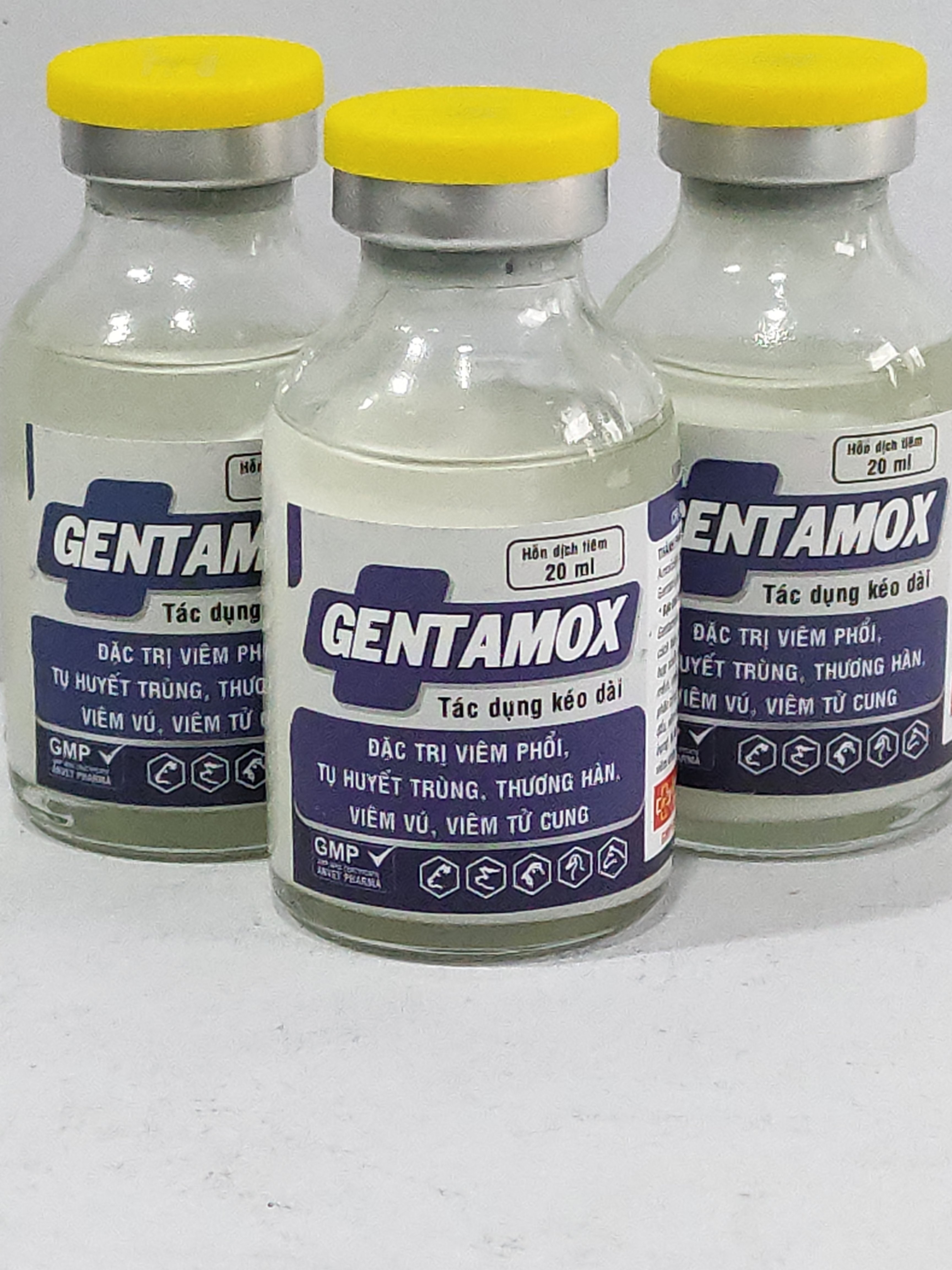 GENTAMOX 20ML hỗn dịch tiêm đặc trị viêm phổi, tụ huyết trùng, thương hàn, viêm vú, viêm tử cung