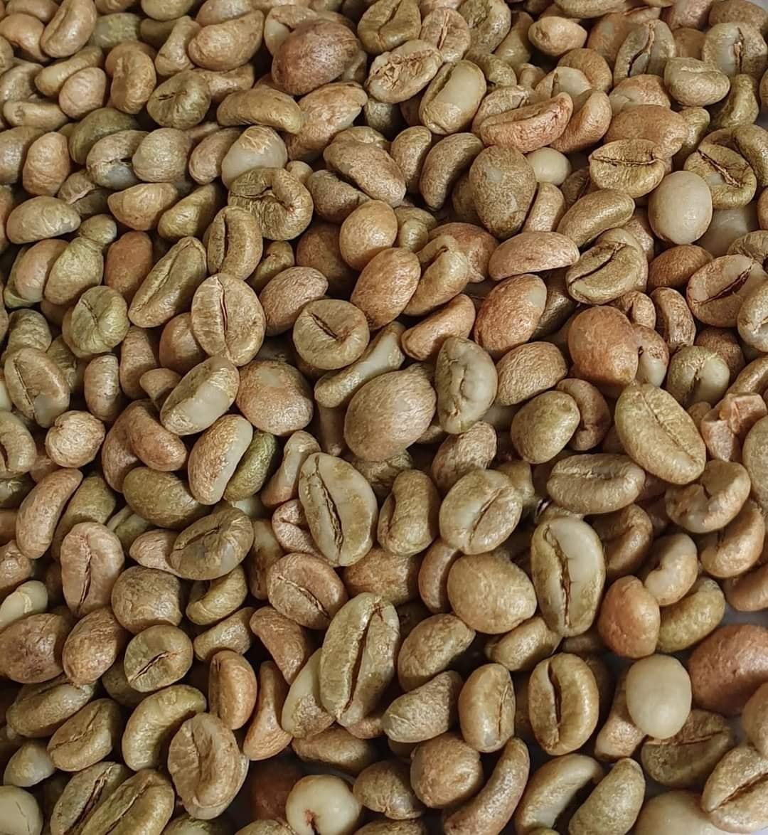 Set 30kg cà phê nhân robusta