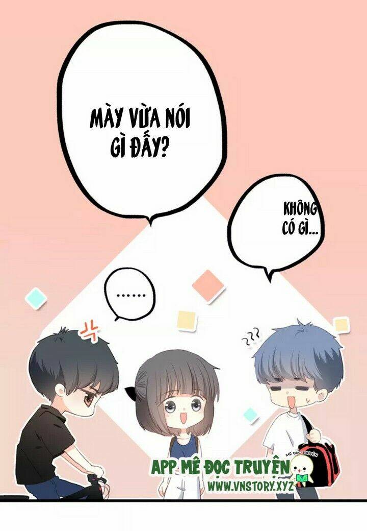 con tim rung động 3 chapter 52 18