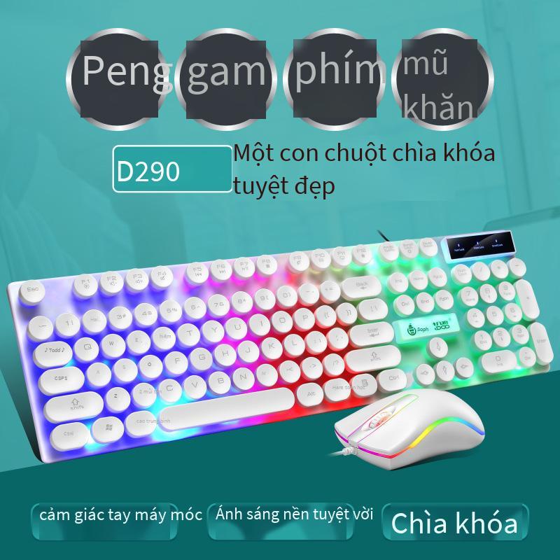 Vận Chuyển Nhanh Chóng Bàn Phím Có Dây Bộ Chuột Đèn Nền Máy Tính Chơi Game Để Bàn Dạ Quang Thực Người Thao Túng Notebook USB Bên Ngoài