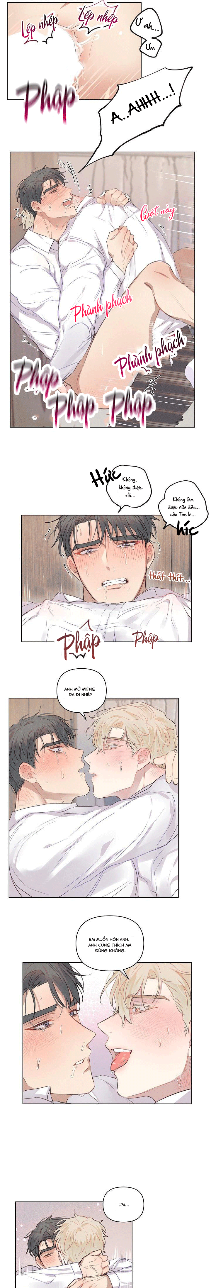 nơi tình yêu định mệnh chapter 6 5