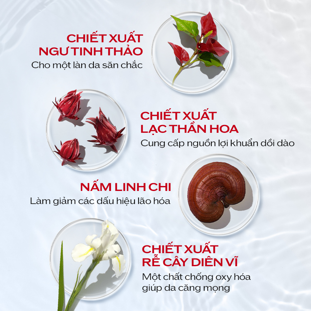 Tinh chất (serum) dưỡng da Shiseido Ultimune Power Infusing Concentrate 15ml