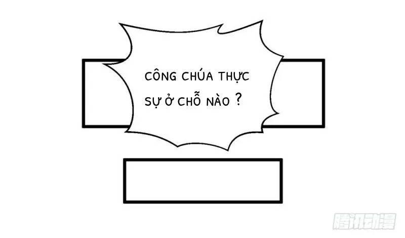 bẩm báo công chúa ! chapter 29 30