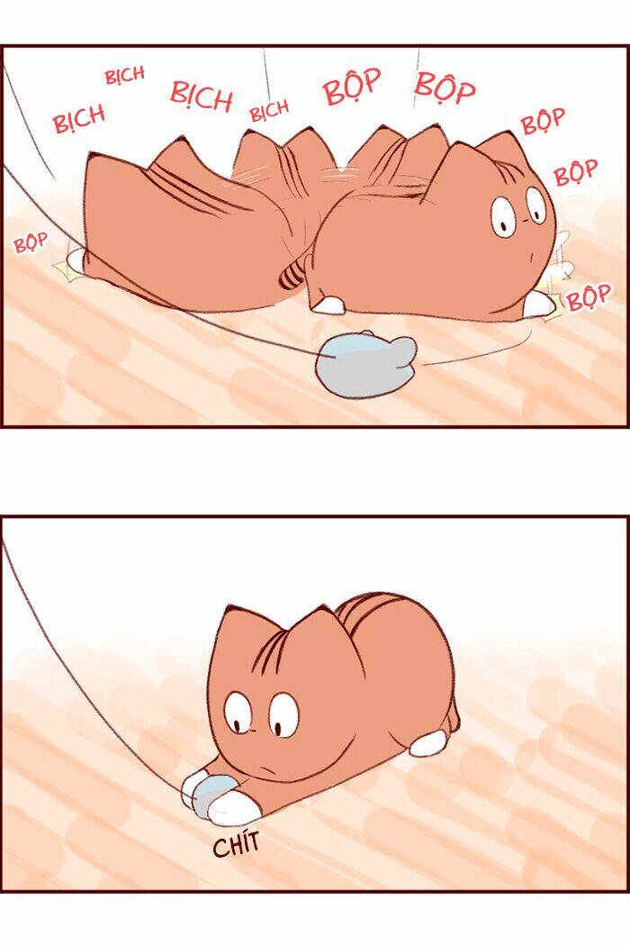 saphie: chú mèo một mắt chapter 3 7