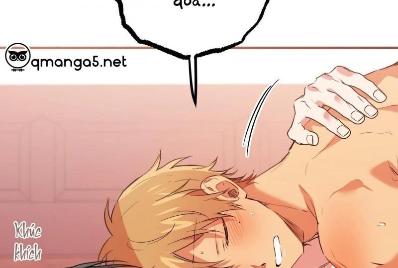 những chú thỏ của hapypy chapter 64 24