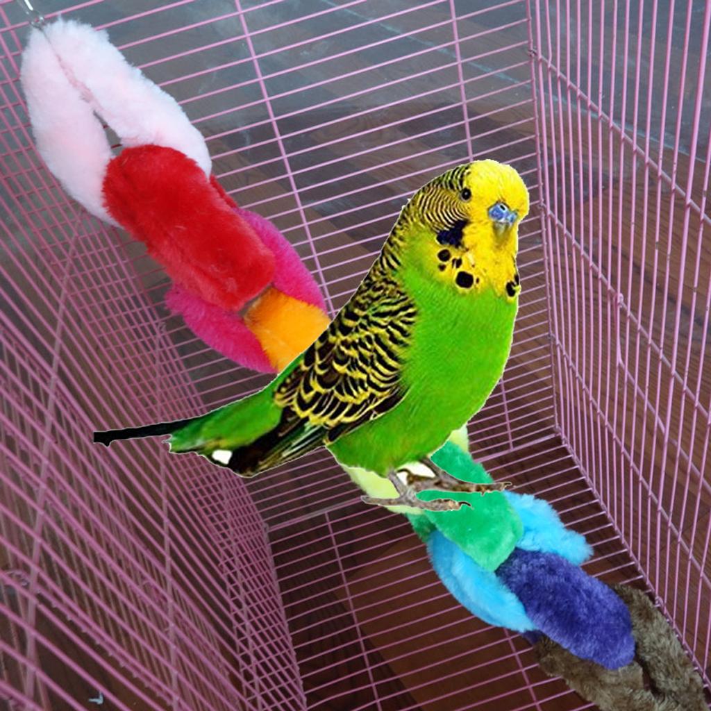 Parrot Budgies, Parakeets, Lovebirds, Macaw, Finches Bird Cage Hanging Swing