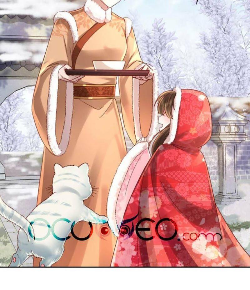 phương thức sinh tồn của công chúa pháo hôi chapter 17 22