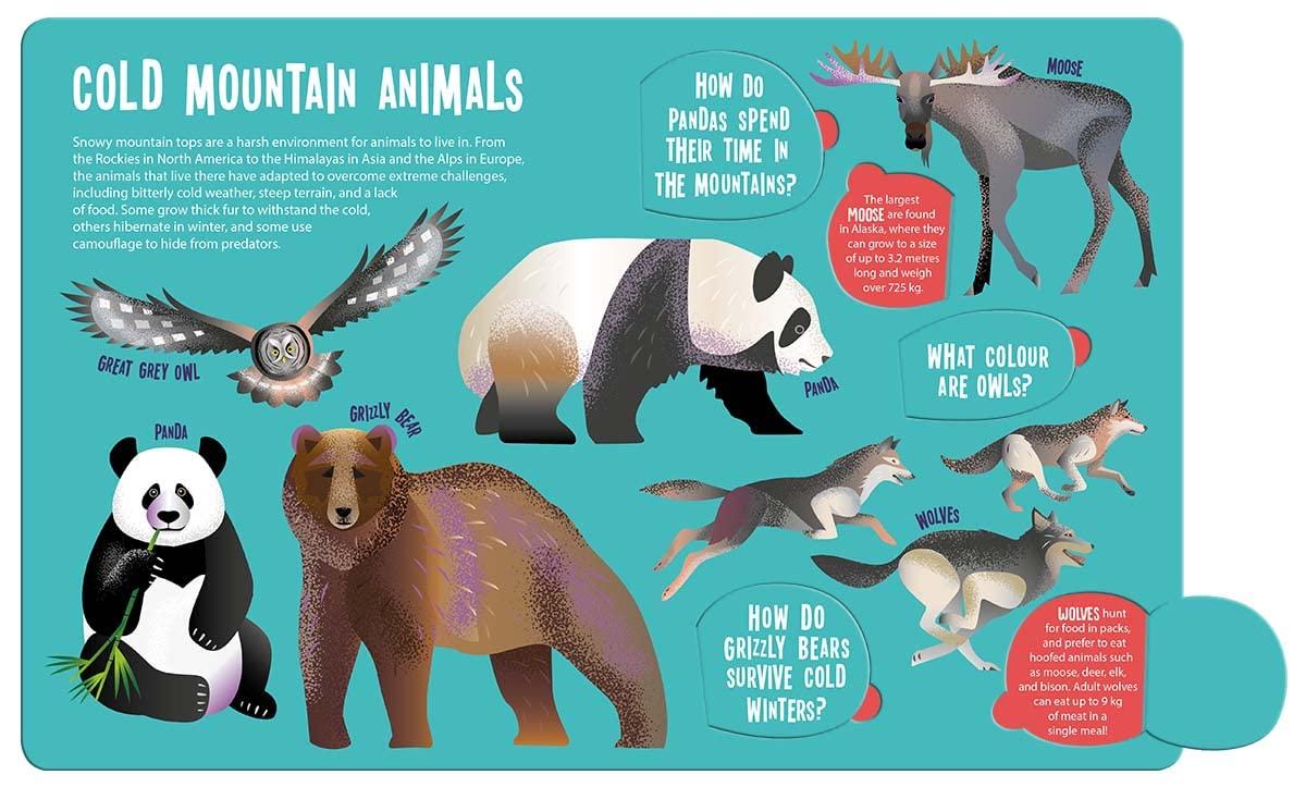 Seek And Find Animals (Seek &amp; Find - Searchlight Books)