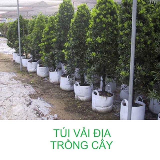 Túi vải trồng cây 2 quai xách kích thước 30x30cm - Set 1 Cái
