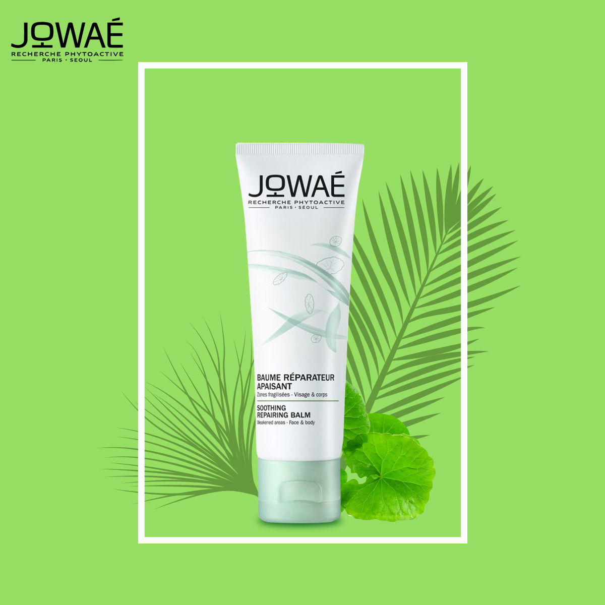 Kem phục hồi và tái tạo da JOWAE Mỹ phẩm thiên nhiên nhập khẩu chính hãng từ Pháp Soothing Repairing Balm 40ml