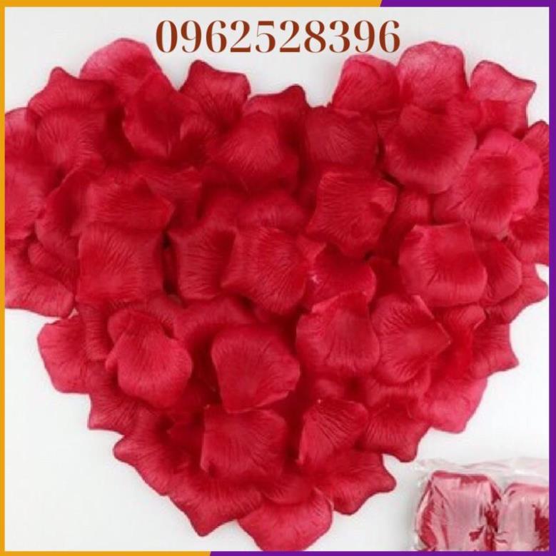 Sét Bóng Trang Trí Phòng Cưới