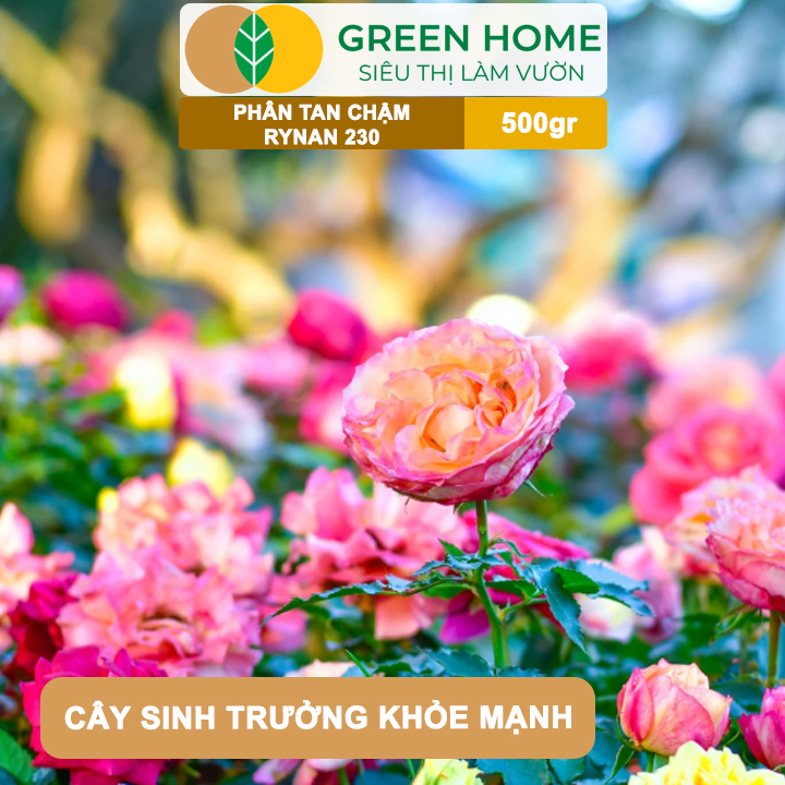 Phân Tan Chậm GreenHome, Rynan 230, Bao 500gr, Dùng Cho Hoa Kiểng, Kiểng Lá Trước Khi Ra Hoa