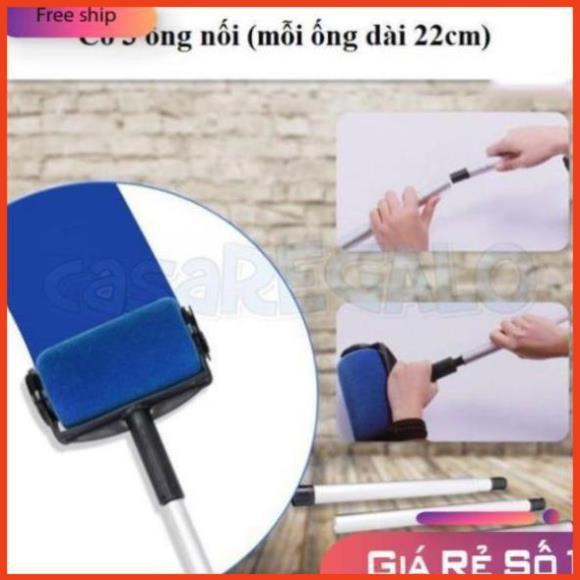 CÂY LĂN SƠN - BỘ CON LĂN SƠN TƯỜNG NHÀ THÔNG MINH 5 MÓN LOẠI TỐT 206772