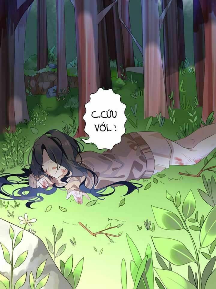 palawari's choice chapter 0 7